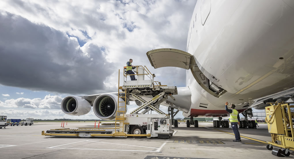 Aviation Workforce